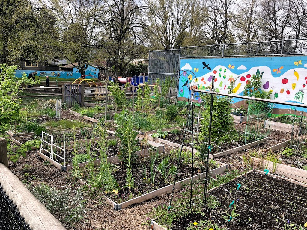 Mcspadden Park Community Garden | 2125 Victoria Dr, Vancouver, BC V5N 4K4, Canada