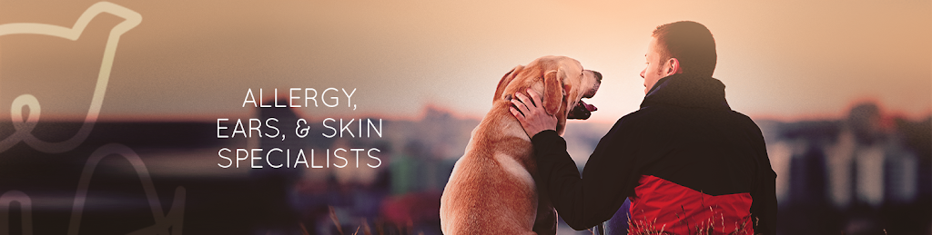 VetDERM Clinic - Veterinary Dermatology & Ear Referral Medical C | 14823 108 Ave, Surrey, BC V3R 1W2, Canada | Phone: (604) 564-2214