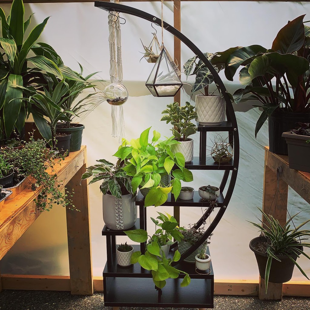 Grandmas Greenhouse | Surrey, BC V4P, Canada | Phone: (604) 868-3546