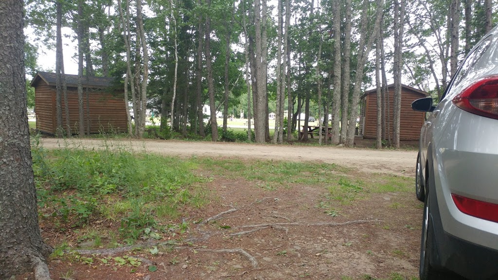 Coop Camping Parc Daigle Park | 10787 Route 134, Saint-Louis Parish, NB E4X 1W4, Canada | Phone: (506) 876-4540