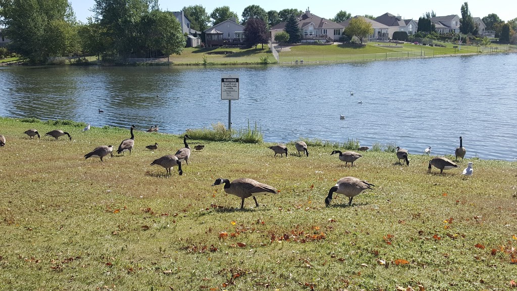 Meadows Park | 1120 Devonshire Dr W, Winnipeg, MB R3W 1L1, Canada | Phone: (877) 311-4974