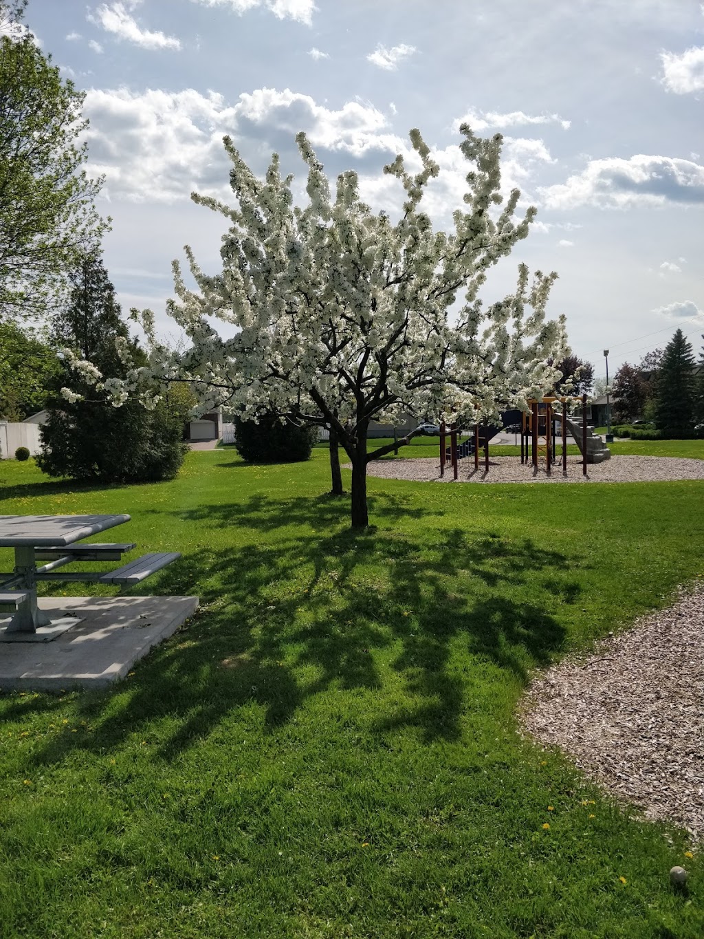 Parc Gérard-Carmel | 5245 Avenue Jodoin Saint-Hubert QCdqxz, 5245 Avenue Jodoin, Saint-Hubert, QC J3Y 7A5, Canada | Phone: (450) 463-7311