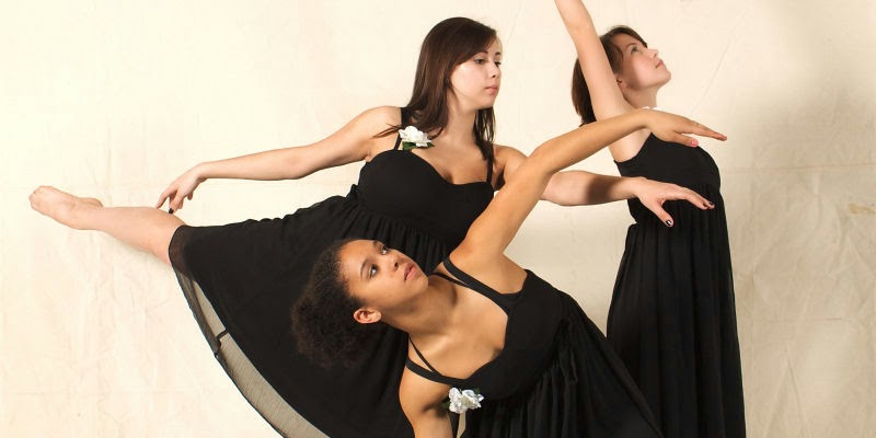 Langley Fine Arts School | 9096 Trattle St, Langley Twp, BC V1M 2S6, Canada | Phone: (604) 888-3113