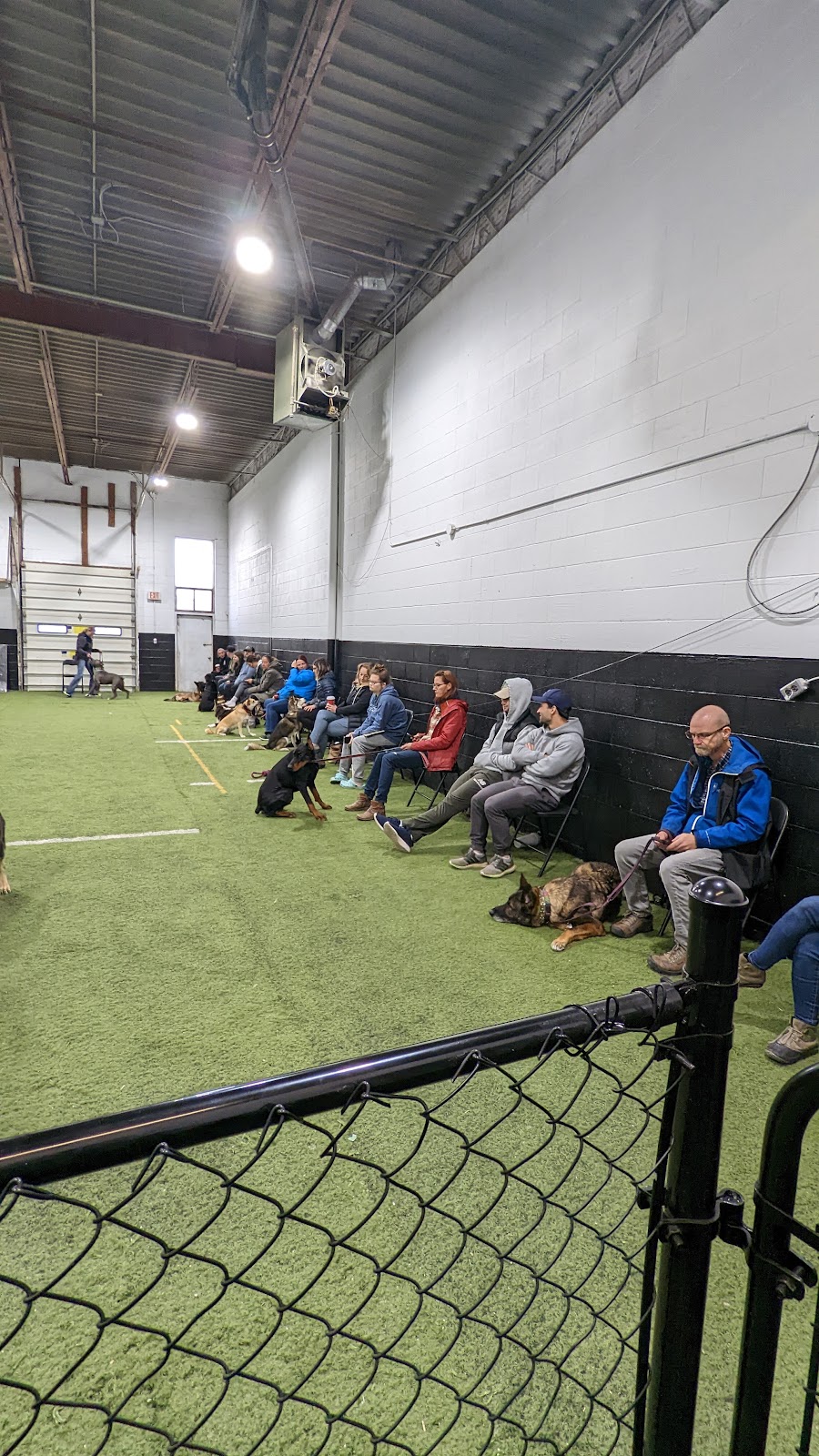SHIELD K9 Dog Training | 584540 Beachville Rd, Woodstock, ON N4S 7V6, Canada | Phone: (519) 880-4989