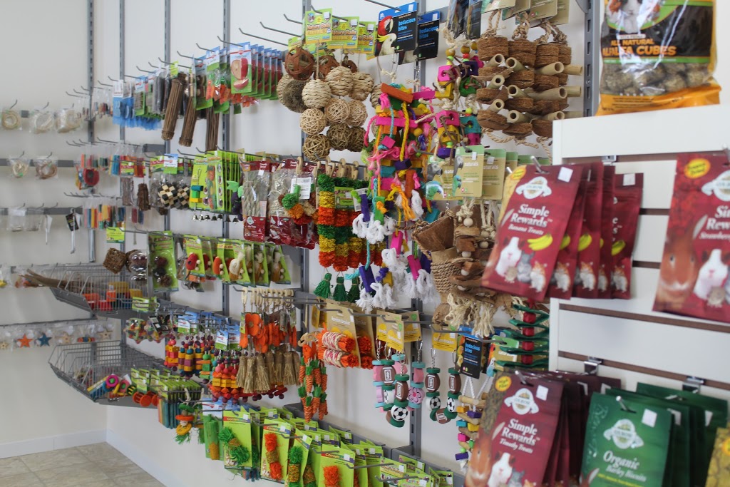 Les Petits Lapins dAmour | 1010 Chemin Saint François O, Saint-François-de-la-Rivière-du-Sud, QC G0R 3A0, Canada | Phone: (418) 728-7286