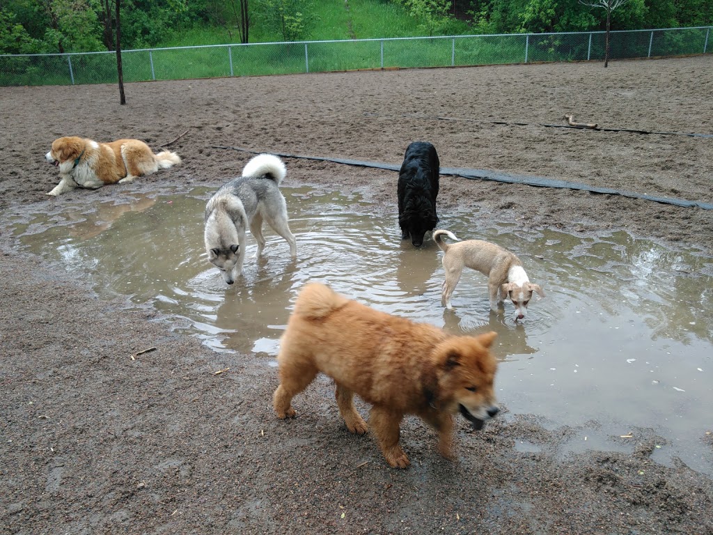 Rail Trail Dog Park | 2R7, Escarpment Rail Trail, Hamilton, ON L8N 2R7, Canada