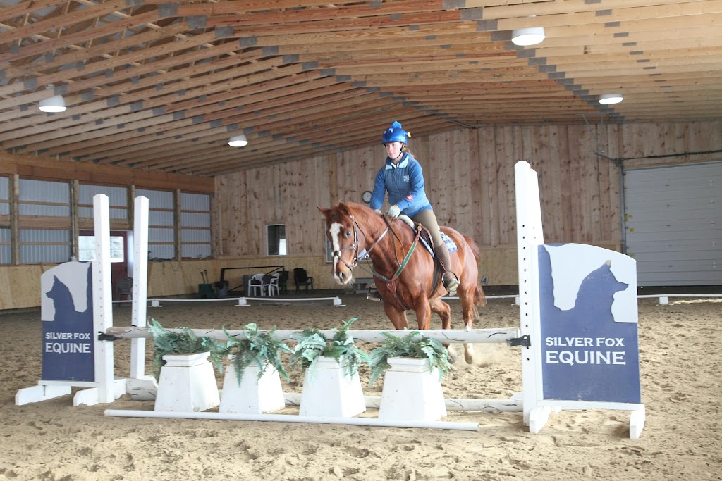 Silver Fox Farm | 873096 5 Line E, Mono, ON L9W 6A4, Canada | Phone: (647) 203-8348