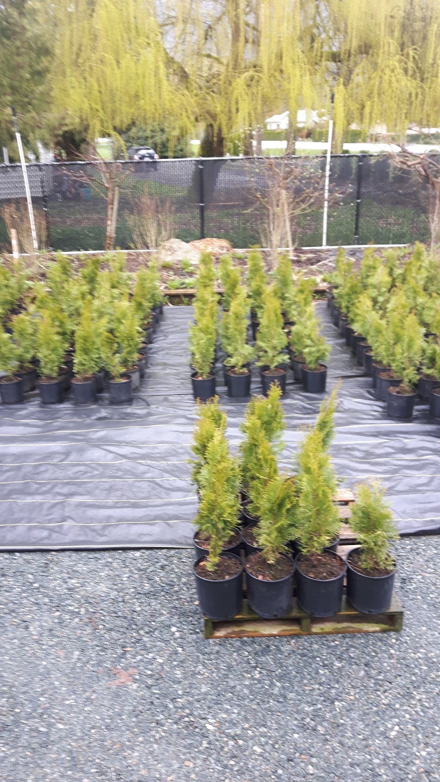 Bridal Falls Peat | 51650 Yale Rd, Rosedale, BC V0X 1X1, Canada | Phone: (604) 794-3388