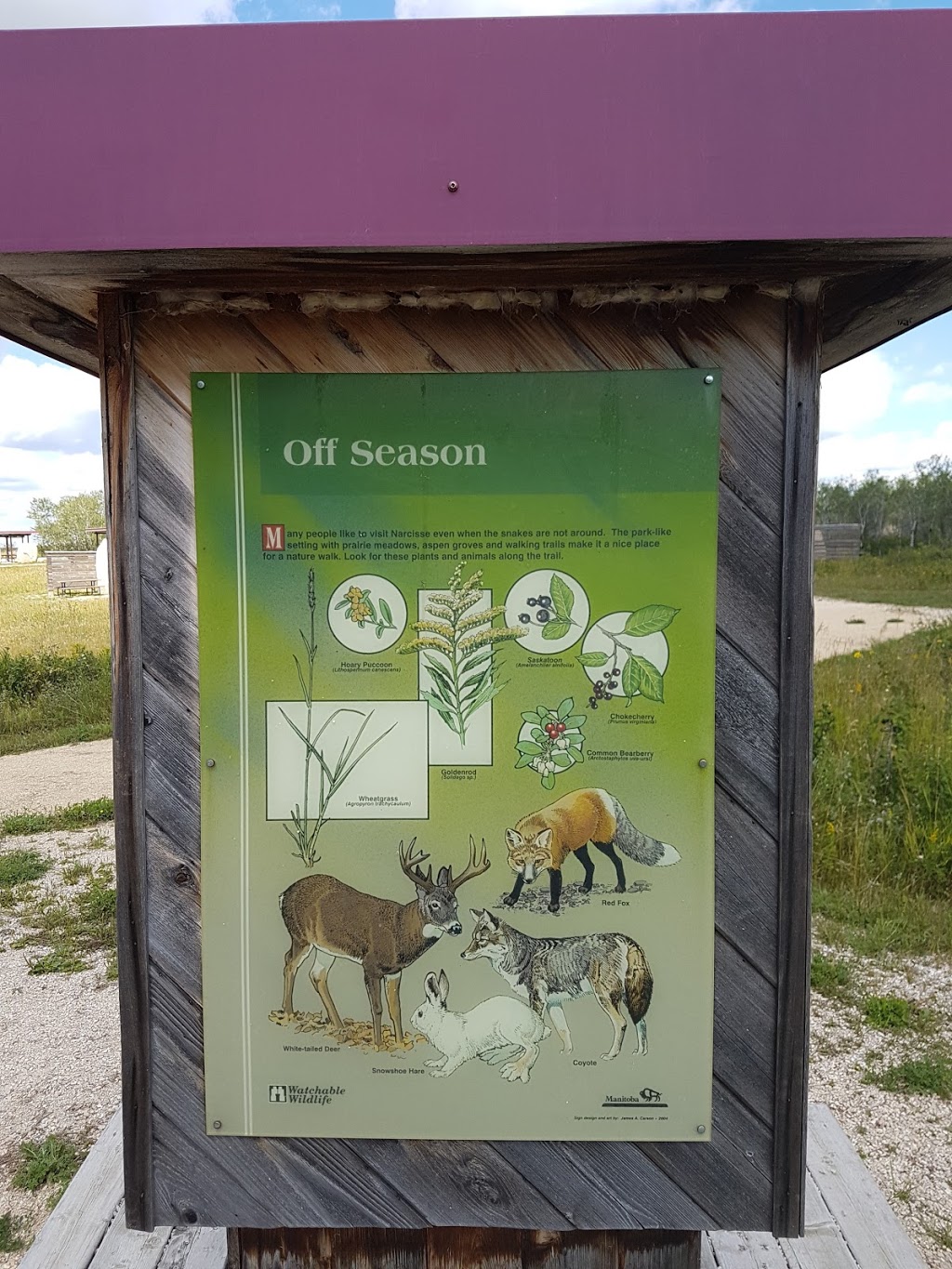 Narcisse Snake Dens | MB-17, Narcisse, MB R0C 2H0, Canada | Phone: (204) 945-3744