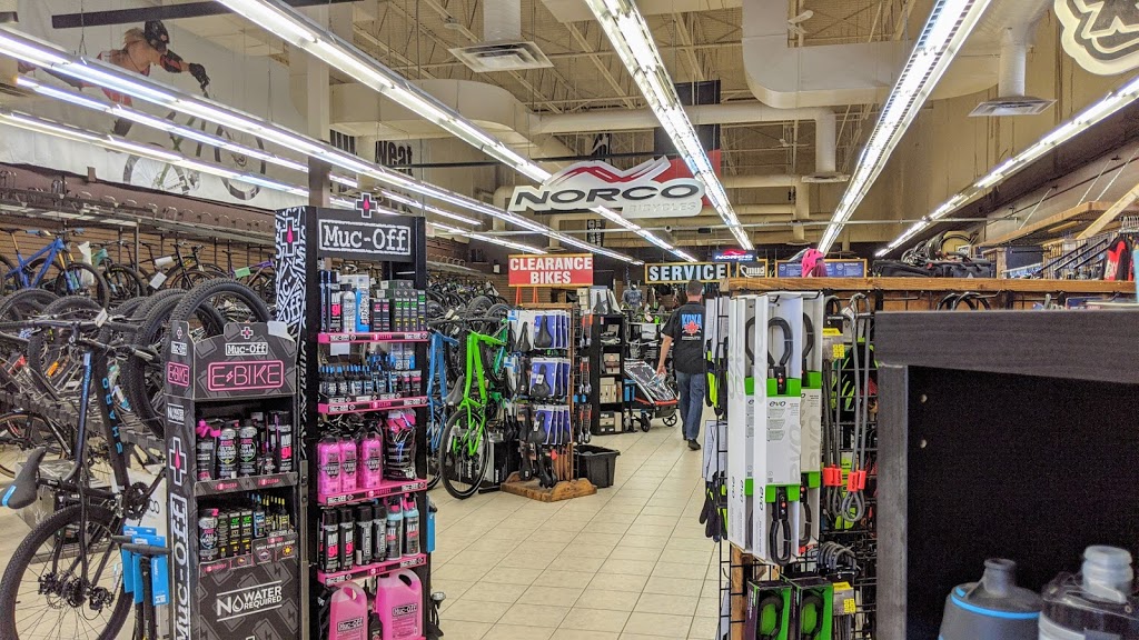 Mud, Sweat and Gears | 15007 Stony Plain Rd, Edmonton, AB T5P 4W1, Canada | Phone: (780) 483-2188