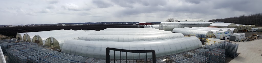 L & D Ferragina Ltd. | 1601 Canal Rd, Bradford, ON L3Z 2A6, Canada | Phone: (905) 775-4389