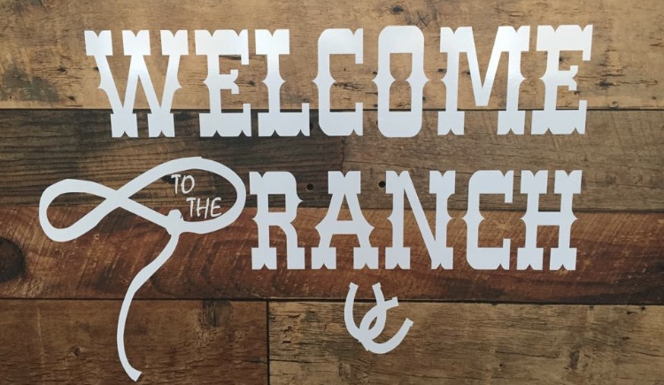 Coffee And Snack Ranch | 509 First St, Hanley, SK S0G 2E0, Canada | Phone: (306) 544-3000