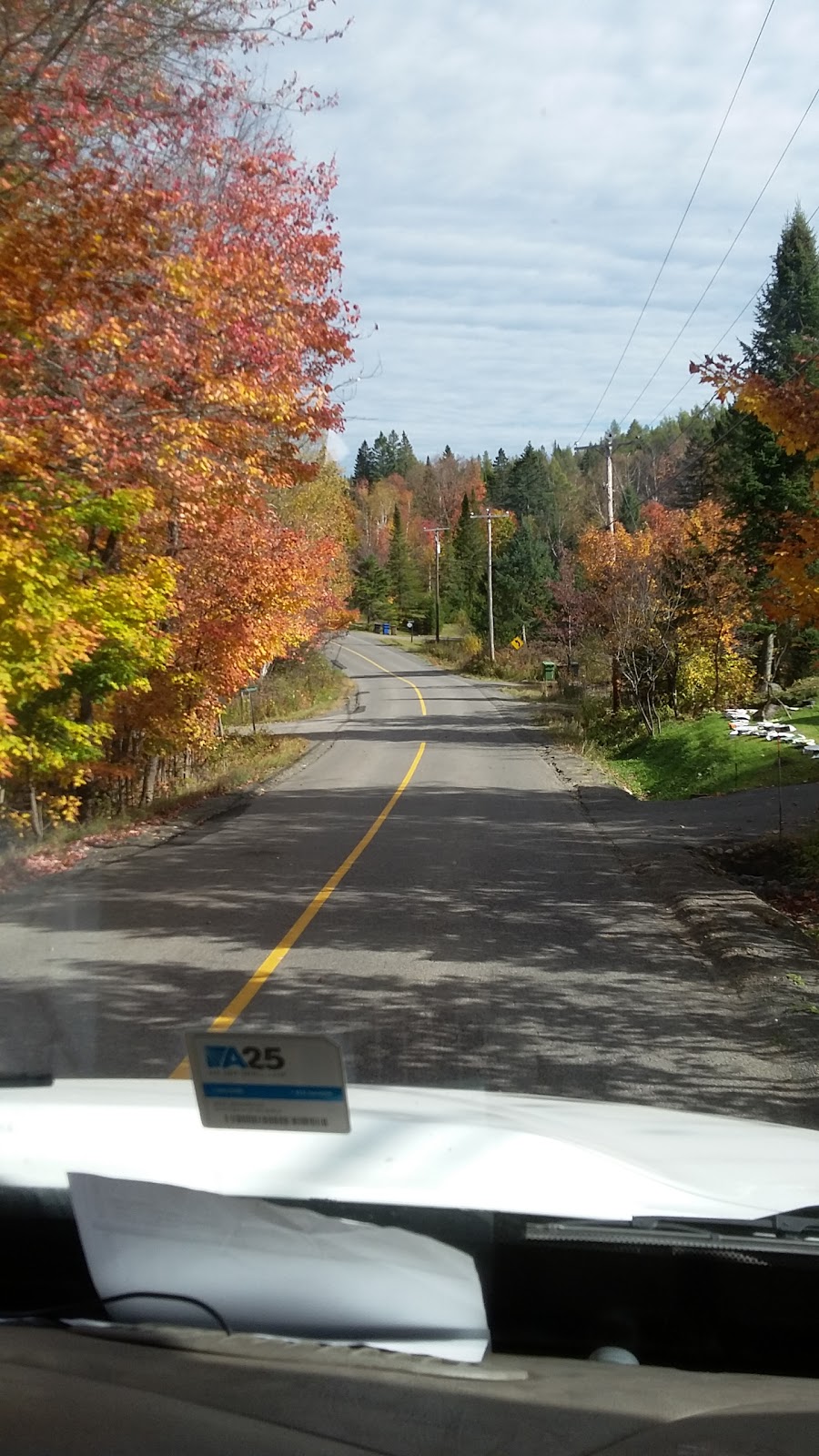 Paysagiste Michel Foster (S E C) | 2 Rue de lÉlan, Sainte-Marguerite-du-Lac-Masson, QC J0T 1L0, Canada | Phone: (450) 228-3007