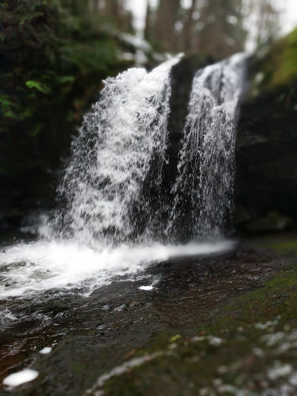Stocking Creek Waterfall | Stocking Creek Trail, Ladysmith, BC V9G 2A4, Canada