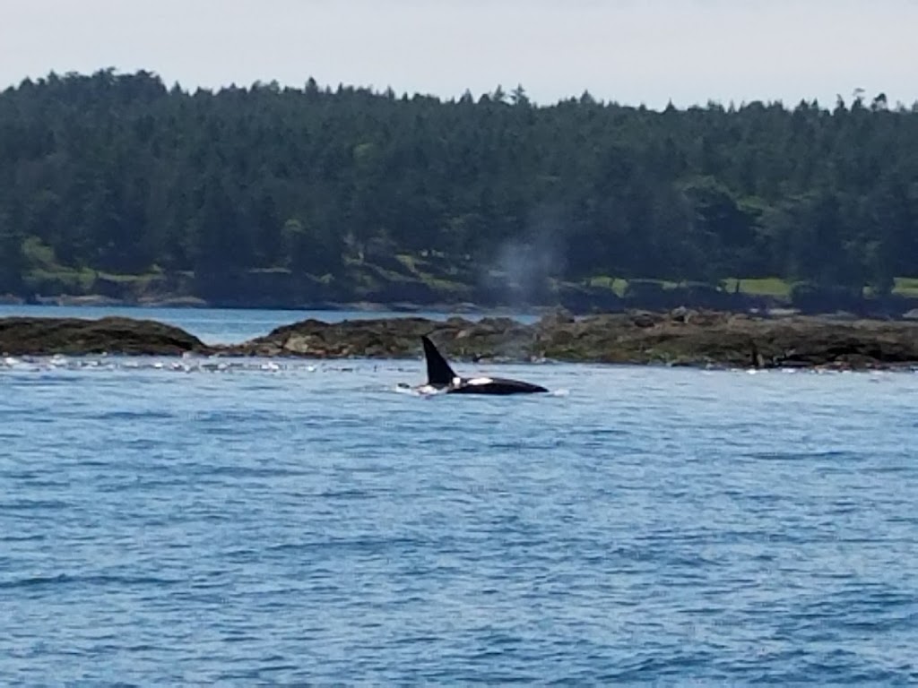 San Juan Islands National Monument | Islands National Monument, Lopez Island, WA 98261, United States | Phone: (360) 468-3754