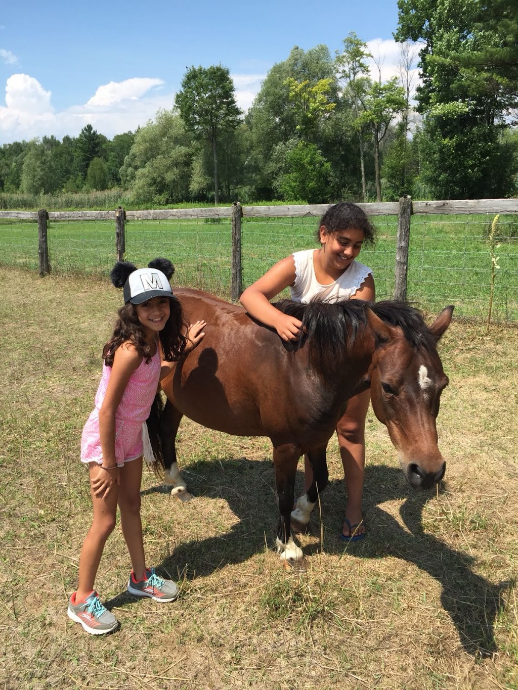 Adventure Camp | 19794 ON-48, Mount Albert, ON L0G 1M0, Canada | Phone: (905) 841-1314 ext. 324