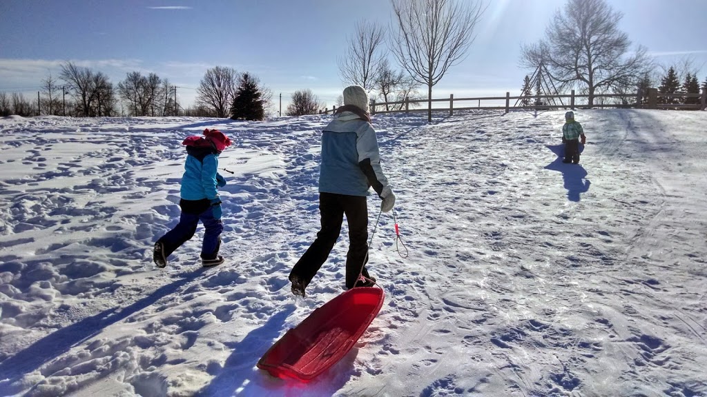 Grasshopper Hill Park | 1609 Kilborn Ave, Ottawa, ON K1H, Canada | Phone: (613) 580-2595