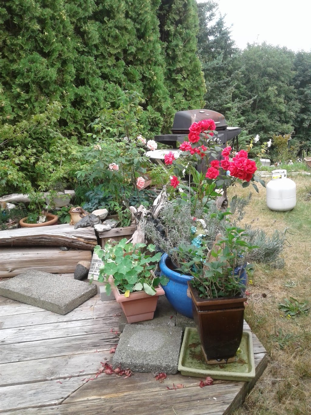Langdale Heights RV Park | 2170 Port Mellon Hwy, Gibsons, BC V0N 1V6, Canada | Phone: (604) 886-2182