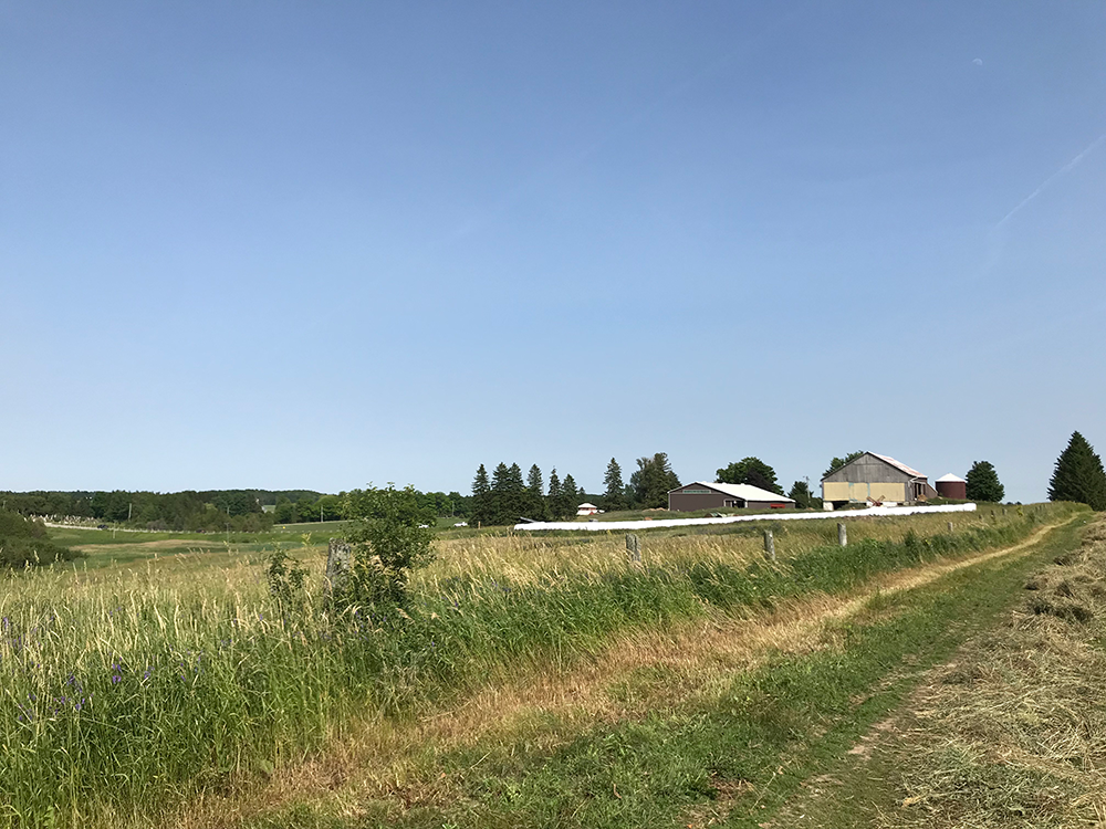 Barnarrow Farm | 062233, Dufferin County Rd 3, East Garafraxa, ON L9W 7H8, Canada | Phone: (519) 831-5845