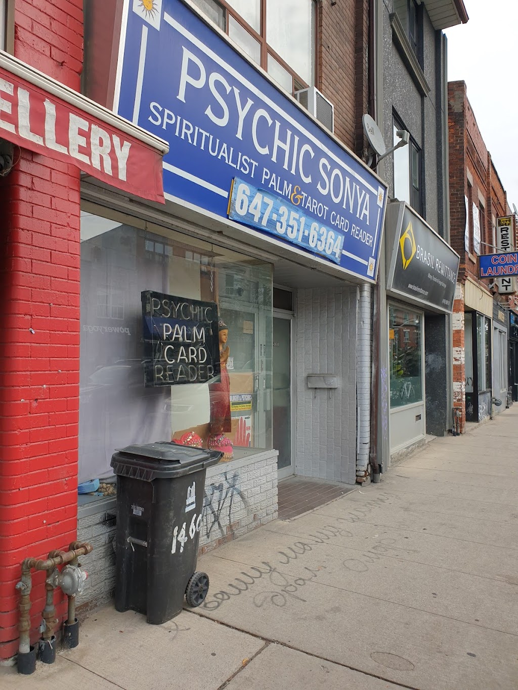Psychic Sonya Spiritualist Palm & Tarot Card Reader | Toronto, ON M6J 1Y6, Canada | Phone: (647) 351-6364