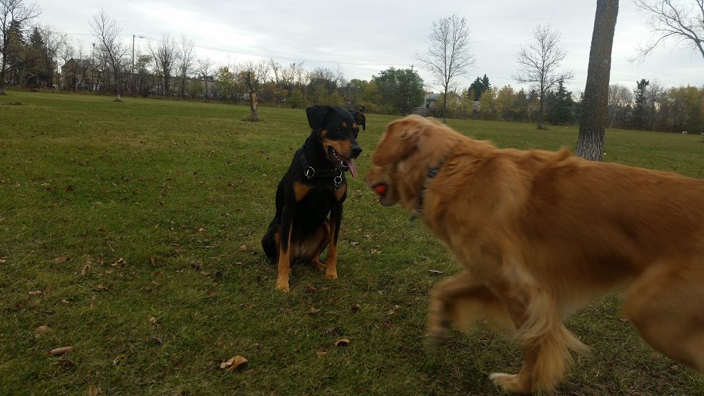 Charleswood Off Leash Dog Park | 3890 Haney St, Winnipeg, MB R3R, Canada