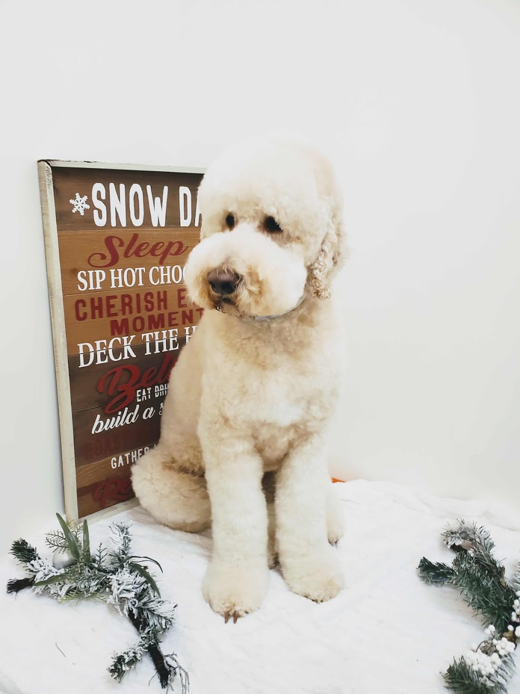 Dogs Town | 713 Krosno Blvd Unit #4, Pickering, ON L1W 1G4, Canada | Phone: (905) 831-7997