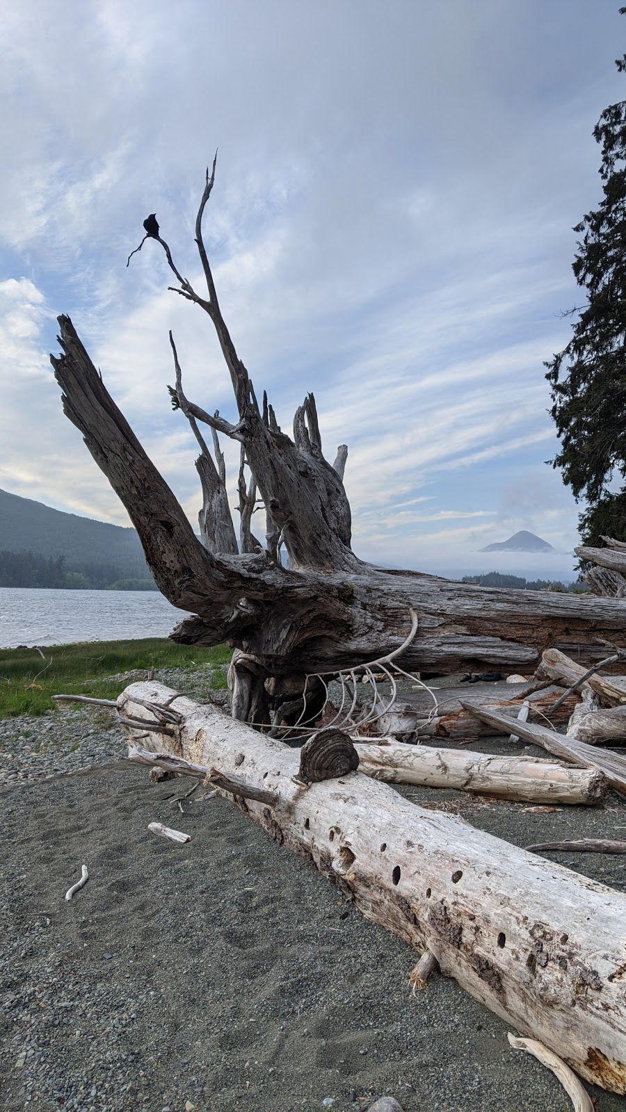 Nitinat Lake Recreation Site | British Columbia V0R 2B0, Canada | Phone: (250) 745-3999