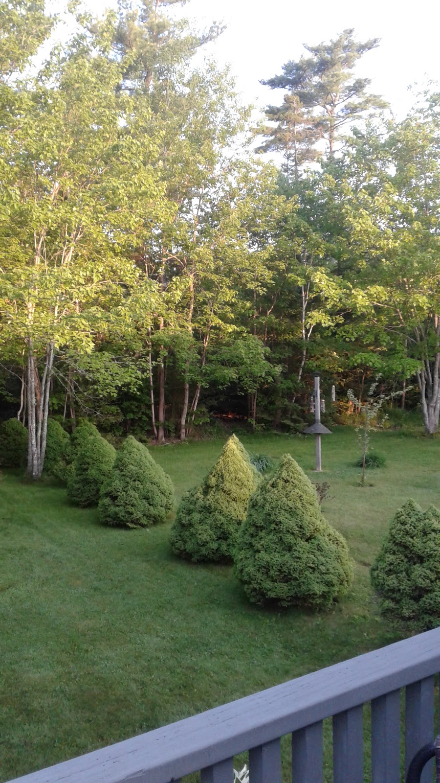 Lost Art Stonework | 34 Charleswood Dr, Windsor Junction, NS B2T 1G3, Canada | Phone: (902) 220-5447