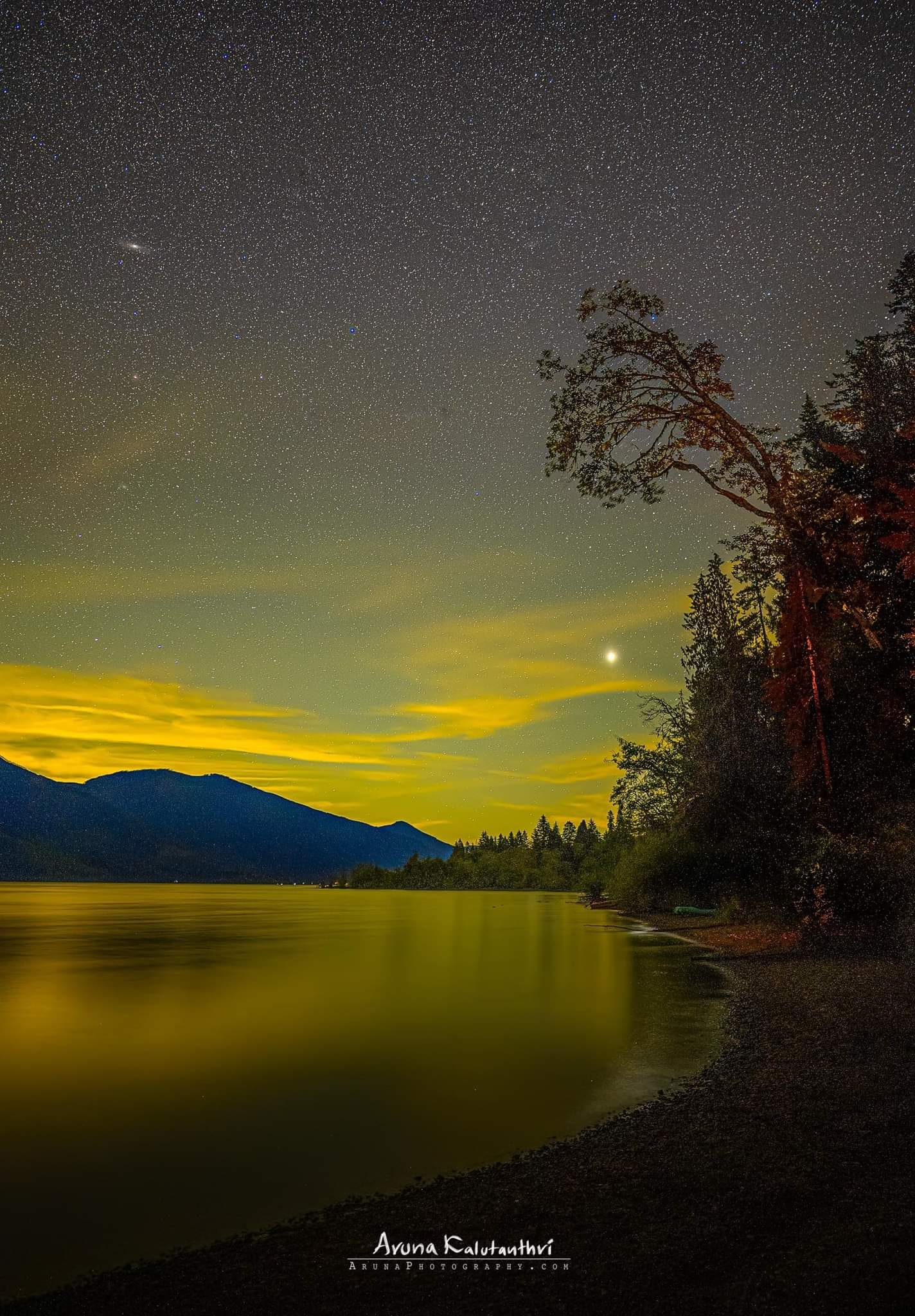Nixon Creek Recreational Site | 3E1, S Shore Rd, Youbou, BC V0R 3E1, Canada | Phone: (250) 709-5761
