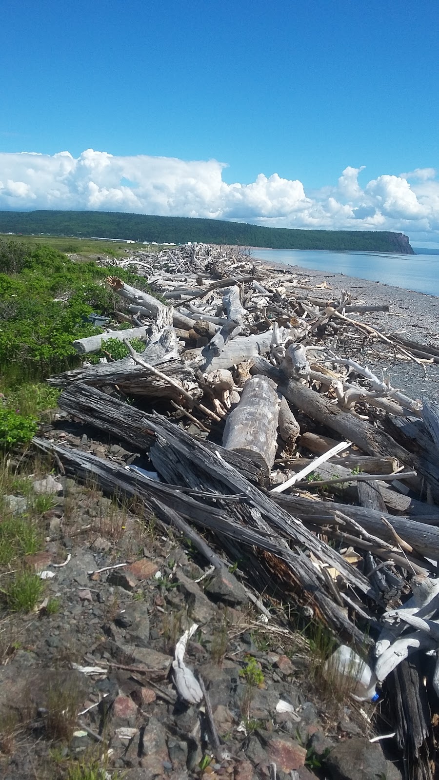 Driftwood Park Retreat Inc | 47 Driftwood Ln, Advocate Harbour, NS B0M 1A0, Canada | Phone: (902) 392-2008