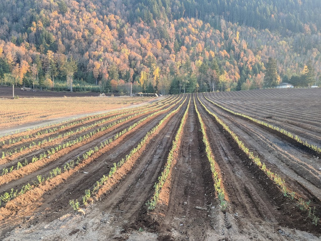 Agri Grow Farm Services LTD | 25837 16 Ave, Aldergrove, BC V4W 2R9, Canada | Phone: (604) 825-9412