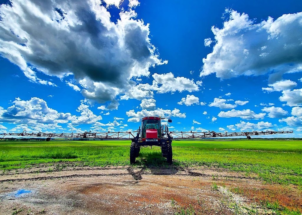 Wavy Lake Farm | 36360 Range Road 272, Red Deer County, AB T0M 1R0, Canada | Phone: (403) 396-8590