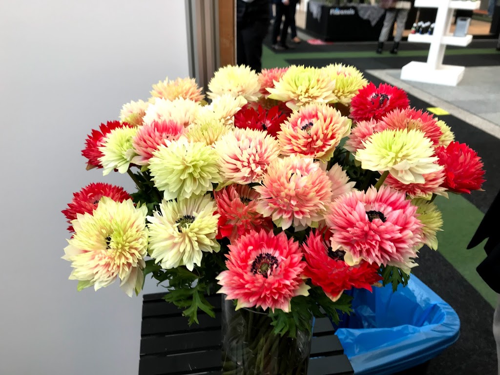 MBS Canada Limited | 247 Coventry Green NE, Calgary, AB T3K 4M4, Canada | Phone: (403) 612-9932