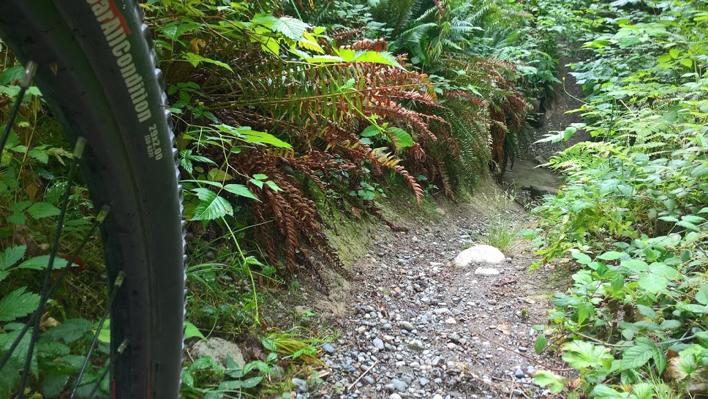 Burnaby Mountain Biking and Hiking Trails | University Dr E, Burnaby, BC V5A 4Y8, Canada | Phone: (604) 294-7944