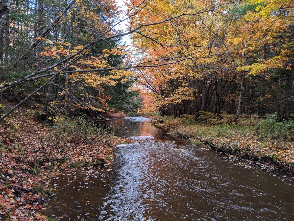 Dobson Trail | 633 Pine Glen Rd, Pine Glen, NB E1J 1S1, Canada | Phone: (506) 384-3212