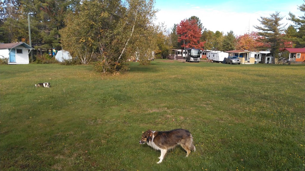 Mohawk Camping | Youngs Cove, NB E4C 2Y5, Canada | Phone: (506) 362-5250