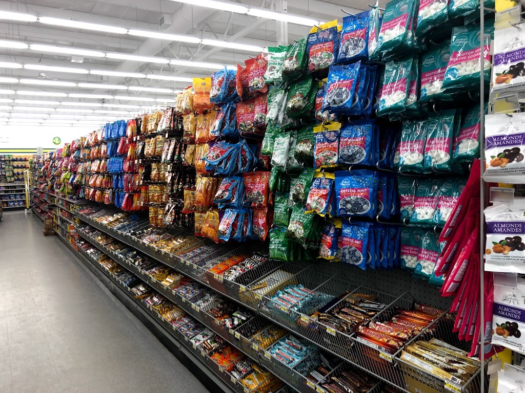 Dollarama | Medicine Tree Mall, 1103 18 St SE, High River, AB T1V 2A9, Canada | Phone: (403) 652-1533
