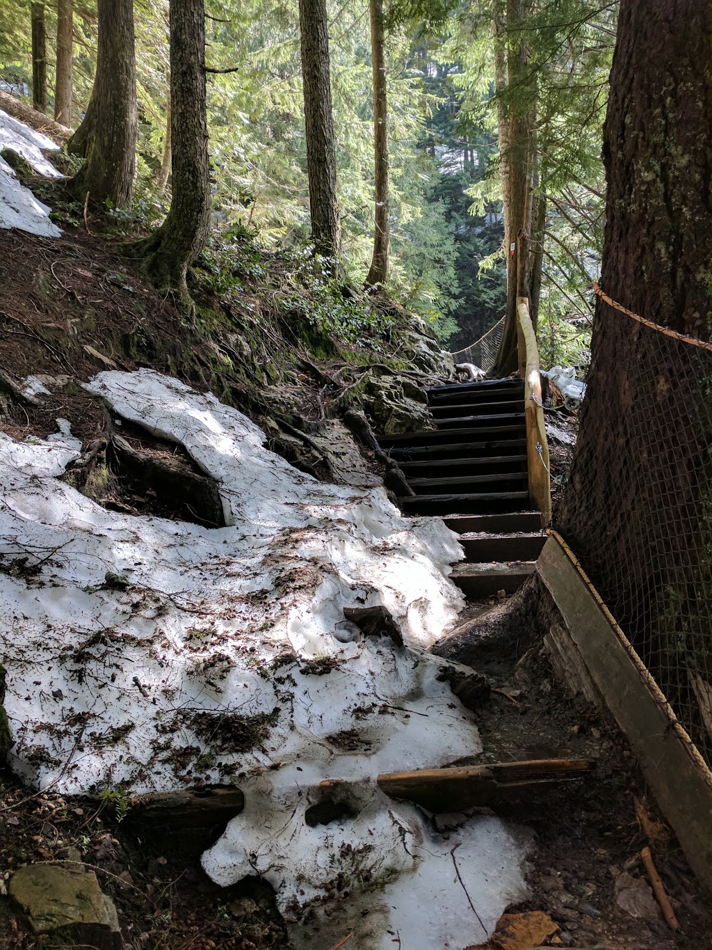 Flint & Feather Trail | park | North Vancouver, BC V7R 4K9, Canada