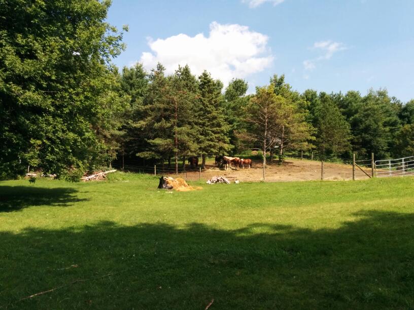 Allbright Equestrian Centre | 563 Allbright Rd, Uxbridge, ON L9P 1R4, Canada | Phone: (905) 556-0626