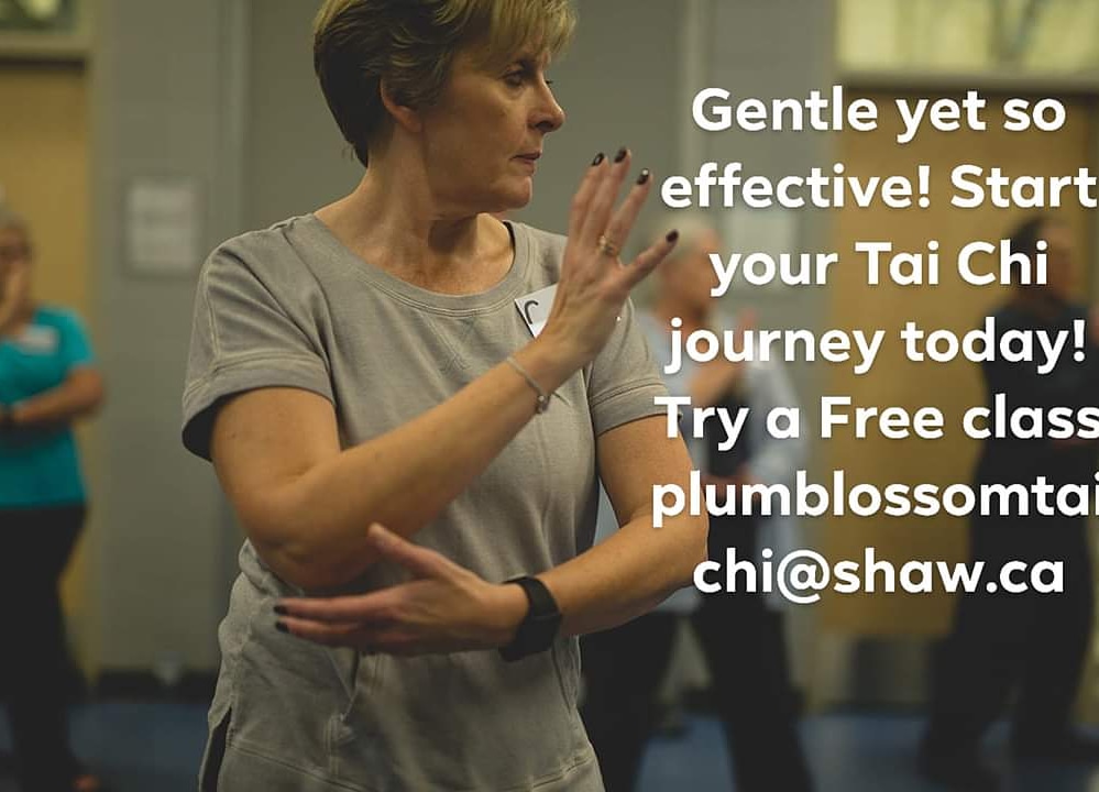 Plum Blossom Tai Chi Academy-Alberta | Elderwood Pl SE, Airdrie, AB T4B 2G2, Canada | Phone: (587) 999-3694