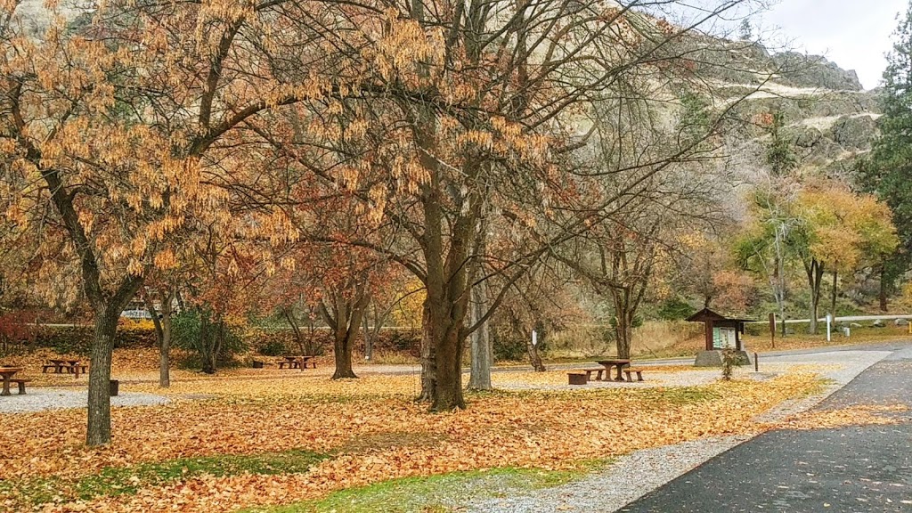 Okanagan Falls Provincial Park | Green Lake Rd, Okanagan Falls, BC V0H 1R0, Canada | Phone: (250) 497-5423