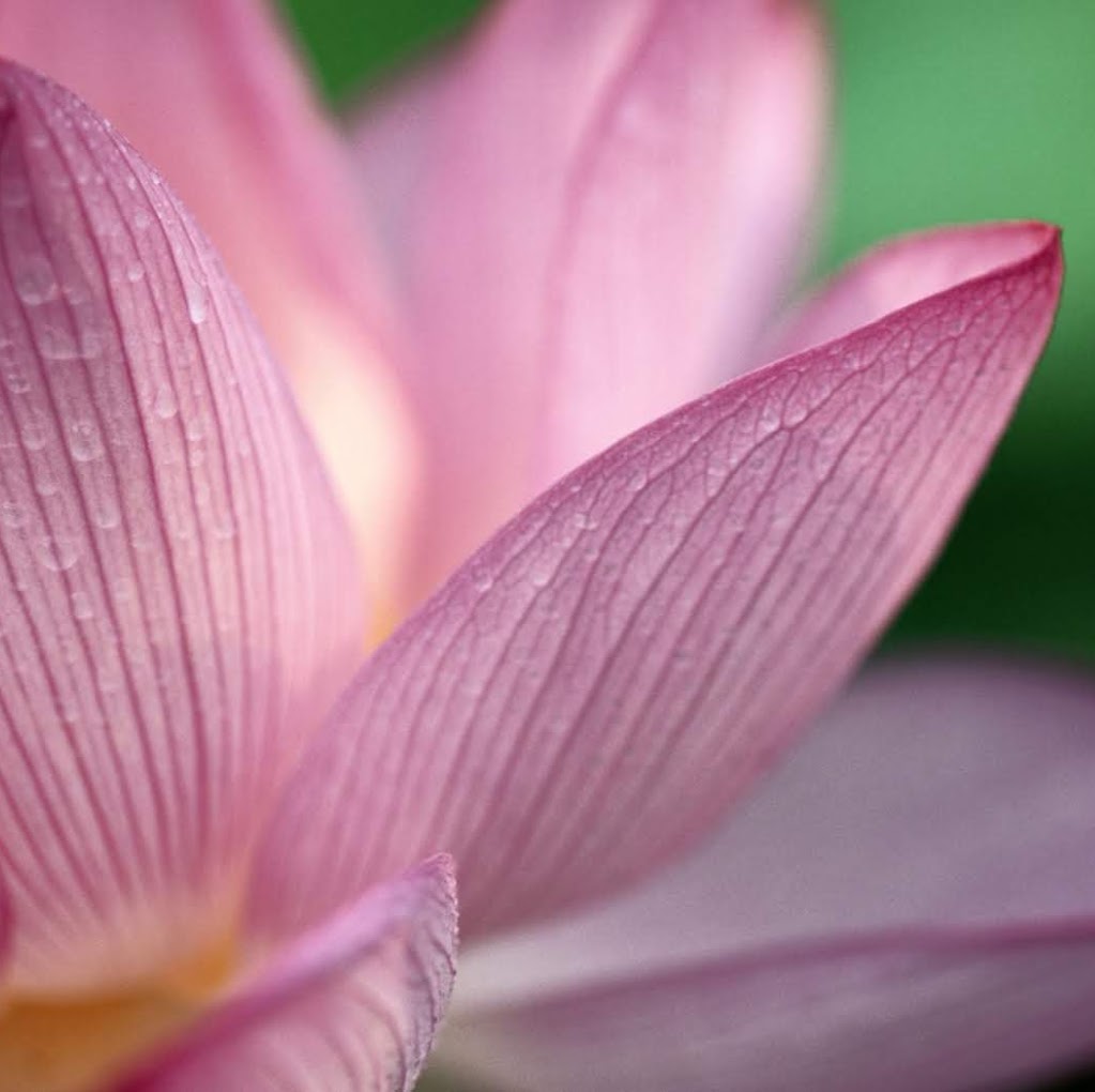 Lotus Millwork Ltd. | 18860 24 Ave #107, Surrey, BC V3Z 0Y8, Canada | Phone: (604) 897-2725