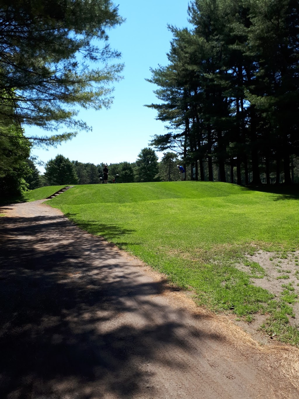 Club de Golf Des Pins | 1140 route Philomène-Thibodeau, Saint-Alban, QC G0A 3B0, Canada | Phone: (800) 223-5210