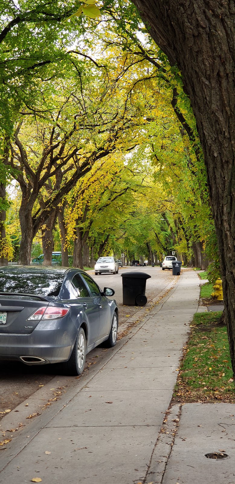 Idywyld Park | Nutana, Saskatoon, SK S7M 0A4, Canada