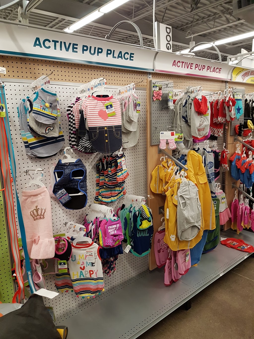 PetSmart | 544 Bayfield St, Barrie, ON L4M 5A2, Canada | Phone: (705) 739-1270