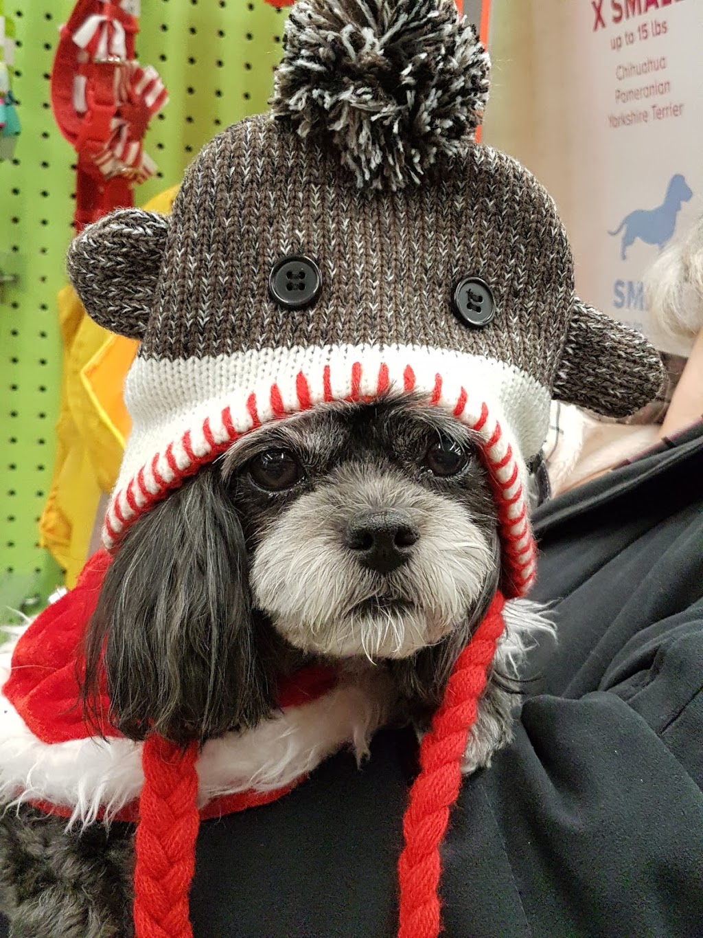 PetSmart | 507 Lakeshore Rd E, Mississauga, ON L5G 1H9, Canada | Phone: (905) 278-0101