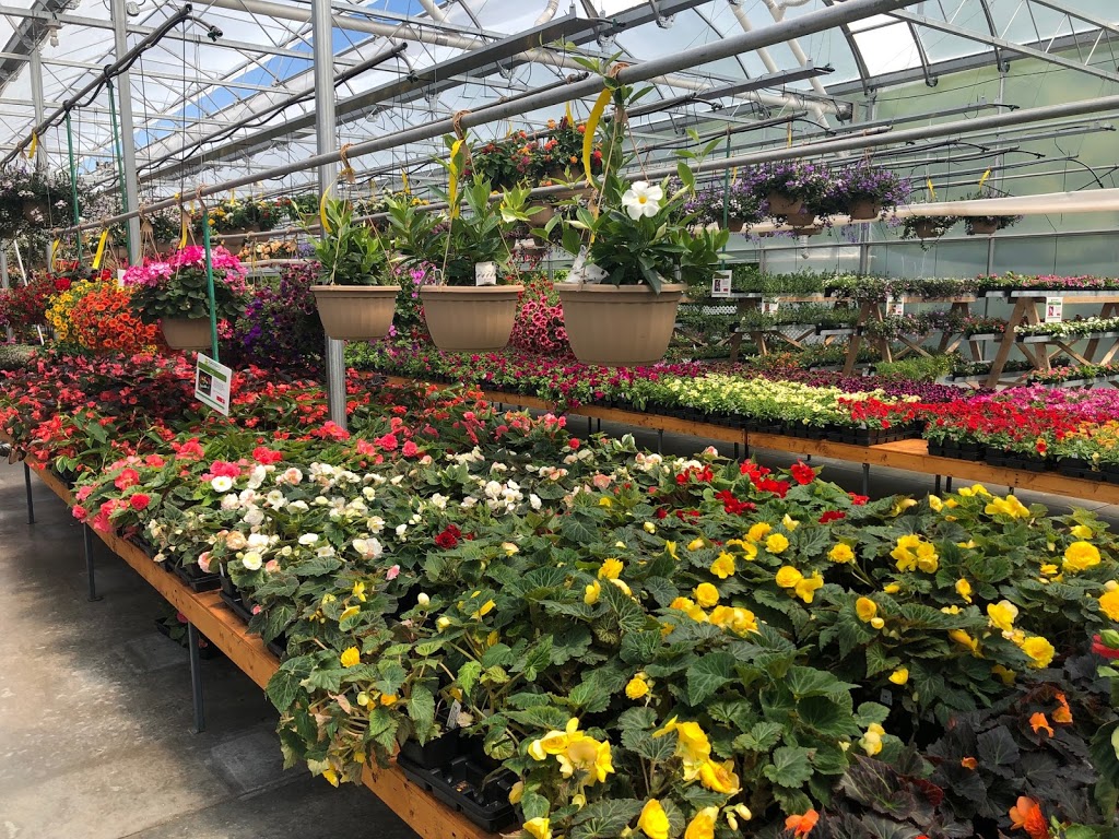Les Serres De LÉden | 6400 Boulevard Laurier O, Saint-Hyacinthe, QC J2S 9A7, Canada | Phone: (450) 250-0621