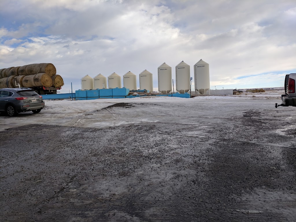 Cattleland Feedyards Ltd | PO Box 2265 Stn Main, Strathmore, AB T1P 1K2, Canada | Phone: (403) 934-4030