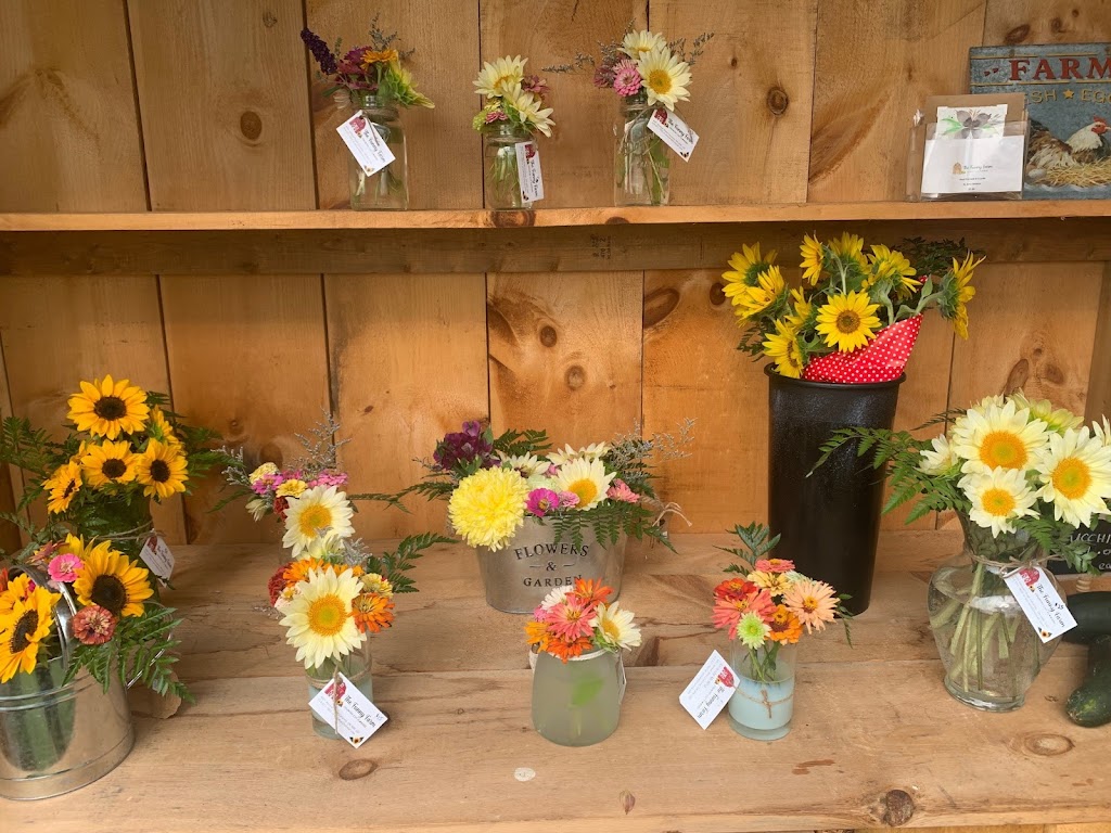 Funny Farm Country Cut Flowers | 4051Kimball Road, Corunna, ON N0N 1G0, Canada | Phone: (519) 671-7903