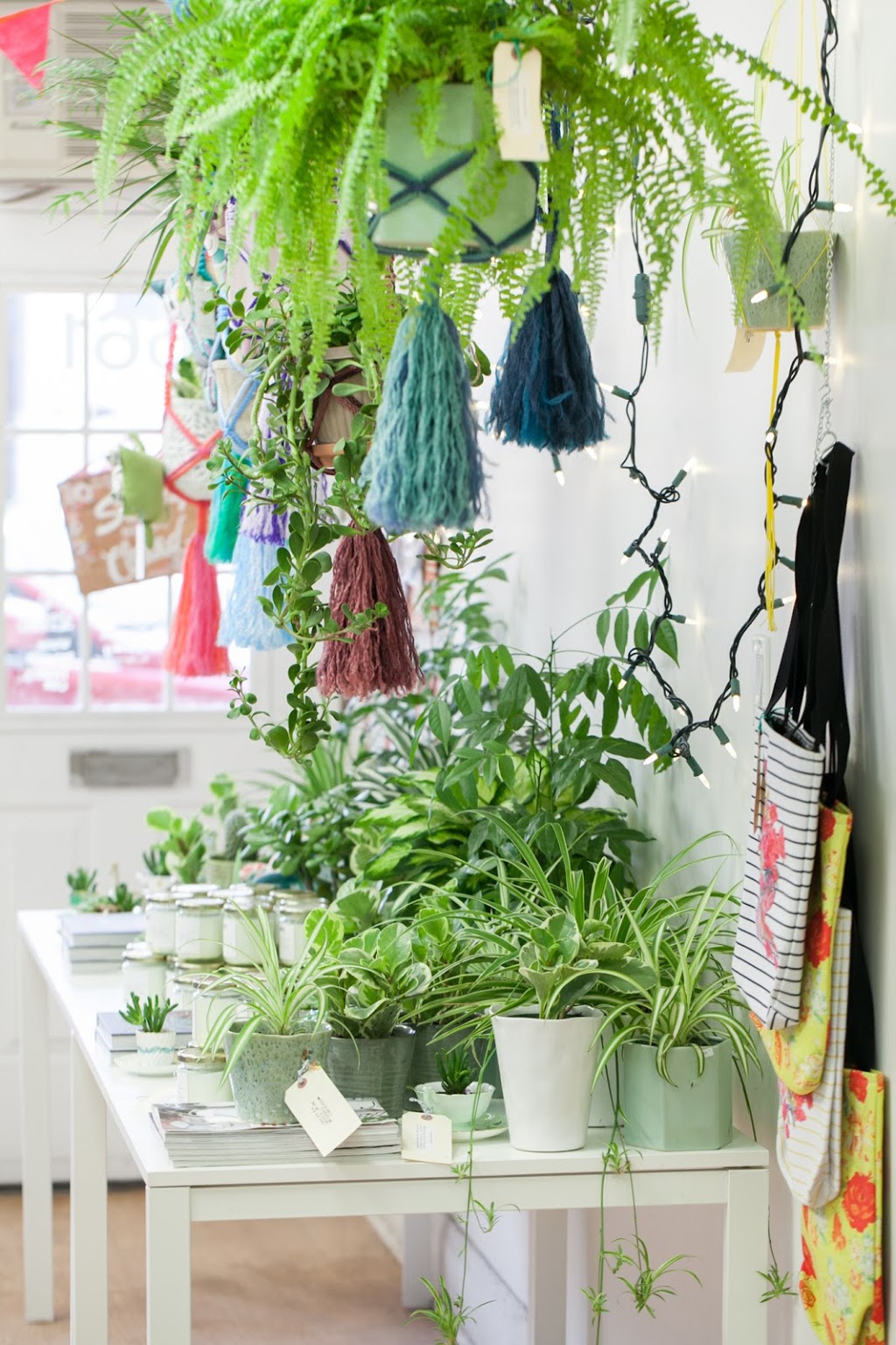 Periwinkle Flowers | 661 Mt Pleasant Rd, Toronto, ON M4S 2N2, Canada | Phone: (416) 322-6985
